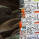 Image for article titled Gone too far, this tattoo of Baby Yoda drinking a White Claw has